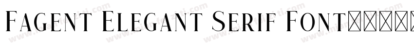 Fagent Elegant Serif Font字体转换